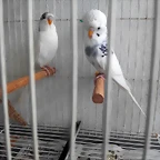 IMG_20180605_122153