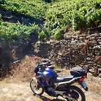DSCN4140