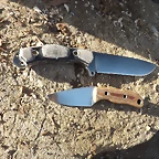 DSCF3247
