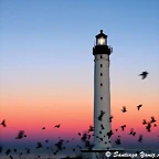 faro 2