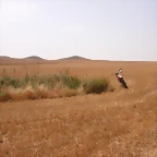 Verano 2007 123
