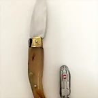 44