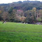 DSCN5375