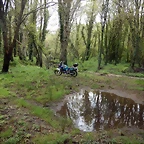 DSCN9177