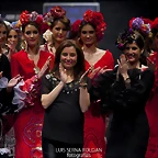 Pasarela 15-2-2015 (22)