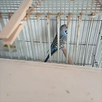 IMG_20250605_085245