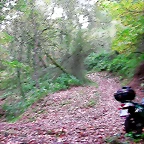 DSCN6267