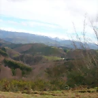 DSCN7875