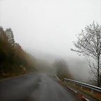 DSCN5873