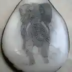 elefante tagua