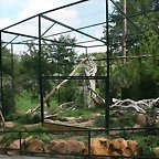 Beauval agost 2010 486