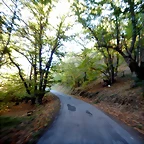DSCN7745