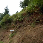 DSCN7120