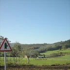 DSCN9925