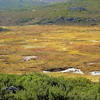 15-IMG_3493