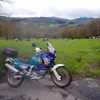 DSCN9501