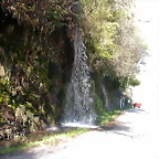 DSCN8018