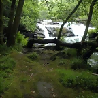 DSCN2809