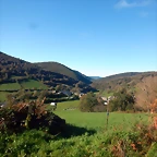 DSCN4083