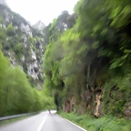 DSCN4804