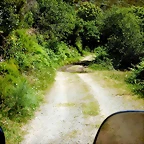 DSCN8183