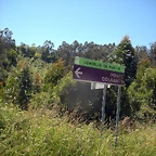 DSCN6663
