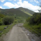 DSCN3985