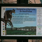 Beauval agost 2010 362