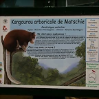 Beauval agost 2010 363