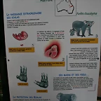 Beauval agost 2010 369
