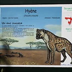 Beauval agost 2010 1113