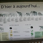 Beauval agost 2010 564