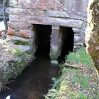 DSCN1486