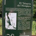DSCN3811