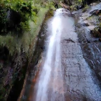 DSCN9596