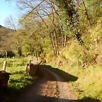DSCN0210