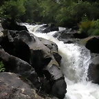 DSCN2758