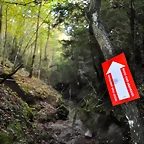 Zones 2013 (11)