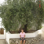 DSC00578
