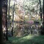 DSCN9760