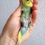20190711_133743