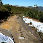 DSCN7984