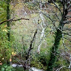 DSCN2912