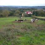 DSCN5340