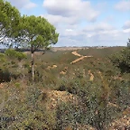 Africa 2