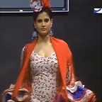 Pasarela 13-2-2015 (49)