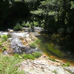 DSCN6683