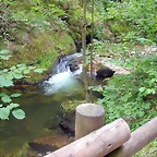 DSCN3747