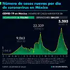 casos-por-dia-confirmados-totales-161021.png_990121245