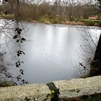 DSCN7443